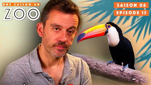 Une saison au zoo 6. évad Ep.15 15. epizód