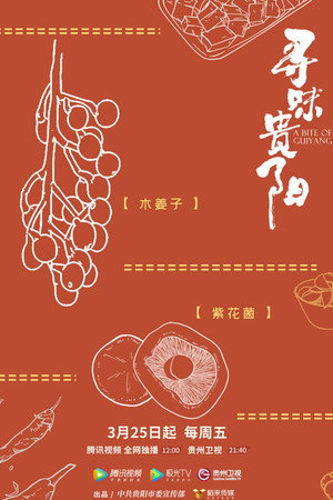 寻味贵阳 poszter