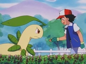Pokémon 4. évad Ep.43 43. epizód