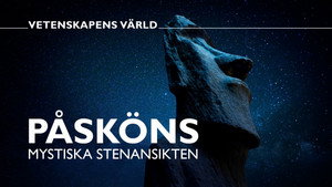 Vetenskapens värld 50. évad Ep.12 12. epizód