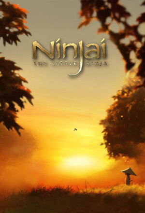 Ninjai poszter