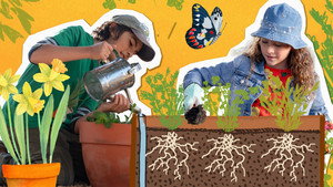 Gardening Australia Junior 2. évad Ep.3 3. epizód