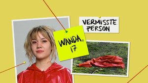 Where's Wanda? kép