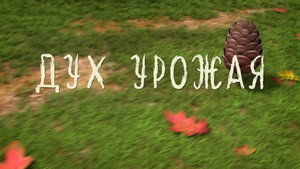 Лео и Тиг 3. évad Ep.25 25. epizód
