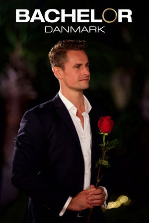 Bachelor Danmark poszter