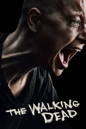 The Walking Dead poszter