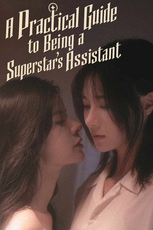 明星助理实习指南 poszter