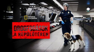 Drogfogások a repülőtéren kép