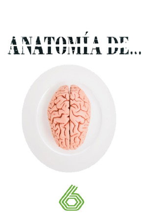 Anatomía de... 1. évad (2023-04-16) poszter