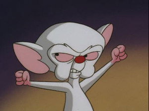 Pinky and the Brain 4. évad Ep.3 3. epizód