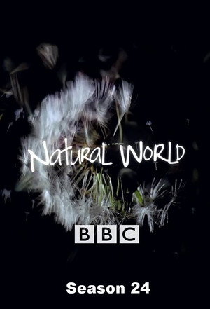 Natural World 24. évad (2005-10-19) poszter