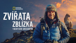 Az állatok világa Bertie Gregoryval kép