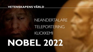 Vetenskapens värld 48. évad Ep.35 35. epizód