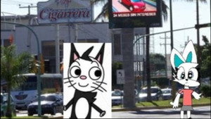 el gato animado televisa 4. évad Ep.2 2. epizód