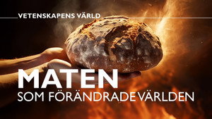 Vetenskapens värld 50. évad Ep.3 3. epizód