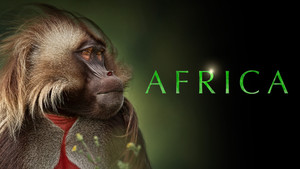 A varázslatos Afrika kép