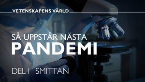 Vetenskapens värld 49. évad Ep.8 8. epizód