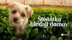 Kutyuskuckó kép