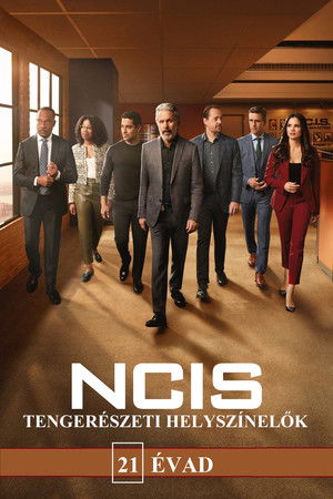 NCIS: Tengerészeti helyszínelők 21. évad (2024-02-11) poszter