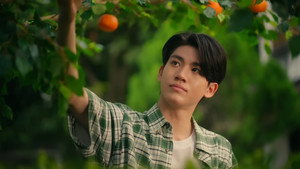 ต้นส้มบ้านเขา แต่ผลส้มหล่นมาบ้านเราตลอดเลย kép