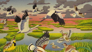 Texas Parks and Wildlife 31. évad Ep.2 2. epizód