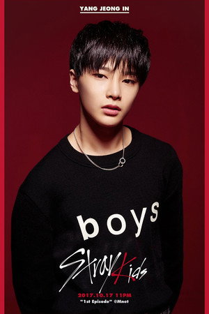 스트레이 키즈 poszter