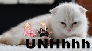 UNHhhh 4. évad Ep.26 26. epizód