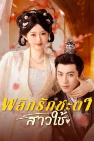 侯门婢女升职记 poszter