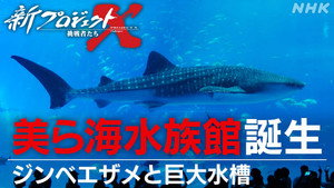 新プロジェクトX〜挑戦者たち〜 1. évad Ep.61 61. epizód
