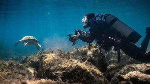 Átalakulóban a mediterrán élővilág kép
