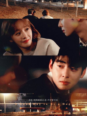 오늘도 사랑스럽개 poszter
