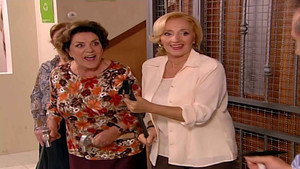 Aqui Não Há Quem Viva 2. évad Ep.17 17. epizód