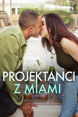 Álomházak Miamiban poszter
