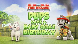 PAW Patrol 11. évad Ep.23 23. epizód