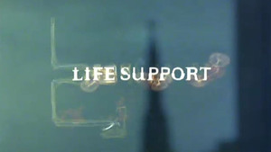 Life Support kép