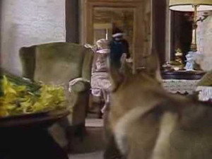The Littlest Hobo 5. évad Ep.13 13. epizód