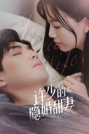 许少的隐婚甜妻 2. évad (2021-05-05) poszter