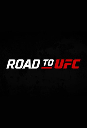 Road to UFC poszter