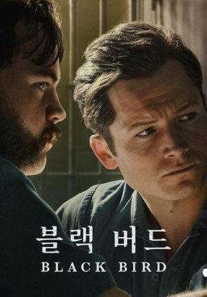 Fekete madár poszter