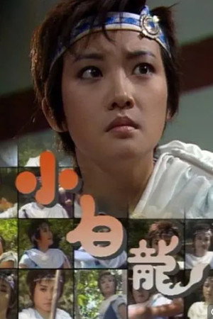 小白龍 1. évad (1989-06-06) poszter