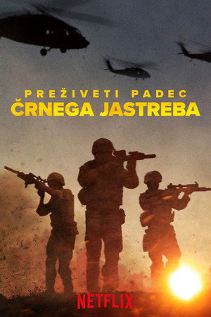 A Sólyom végveszélyben: A mogadishui csata poszter