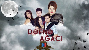 Dəfnə ağacı kép