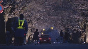 ドキュメント72時間 8. évad Ep.14 14. epizód