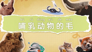 斑马百科 9. évad Ep.2 2. epizód