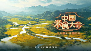 中国米食大会 kép