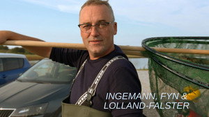 Ingemann, Fyn & Lolland-Falster kép