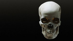 Bite Size Halloween 1. évad Ep.6 6. epizód