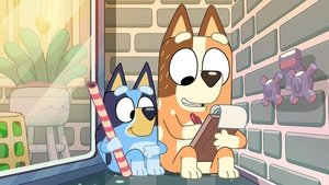 Bluey 2. évad Ep.14 Anyasuli