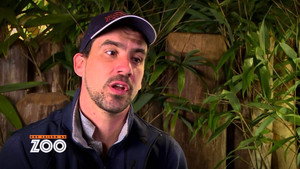 Une saison au zoo 5. évad Ep.25 25. epizód