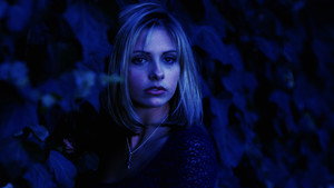 Buffy, a vámpírok réme kép